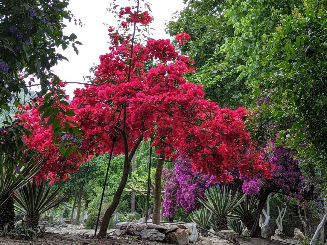 chania tours Botanical garden Chania
