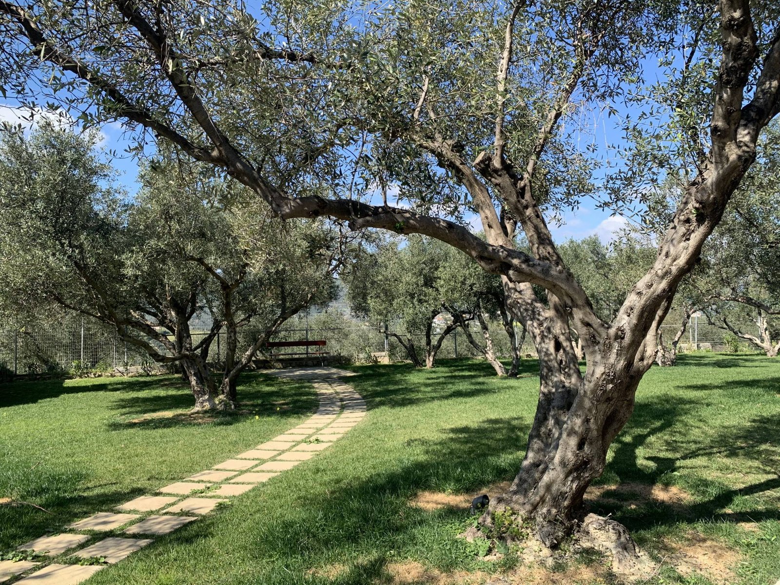 chania tours Platanias Winary